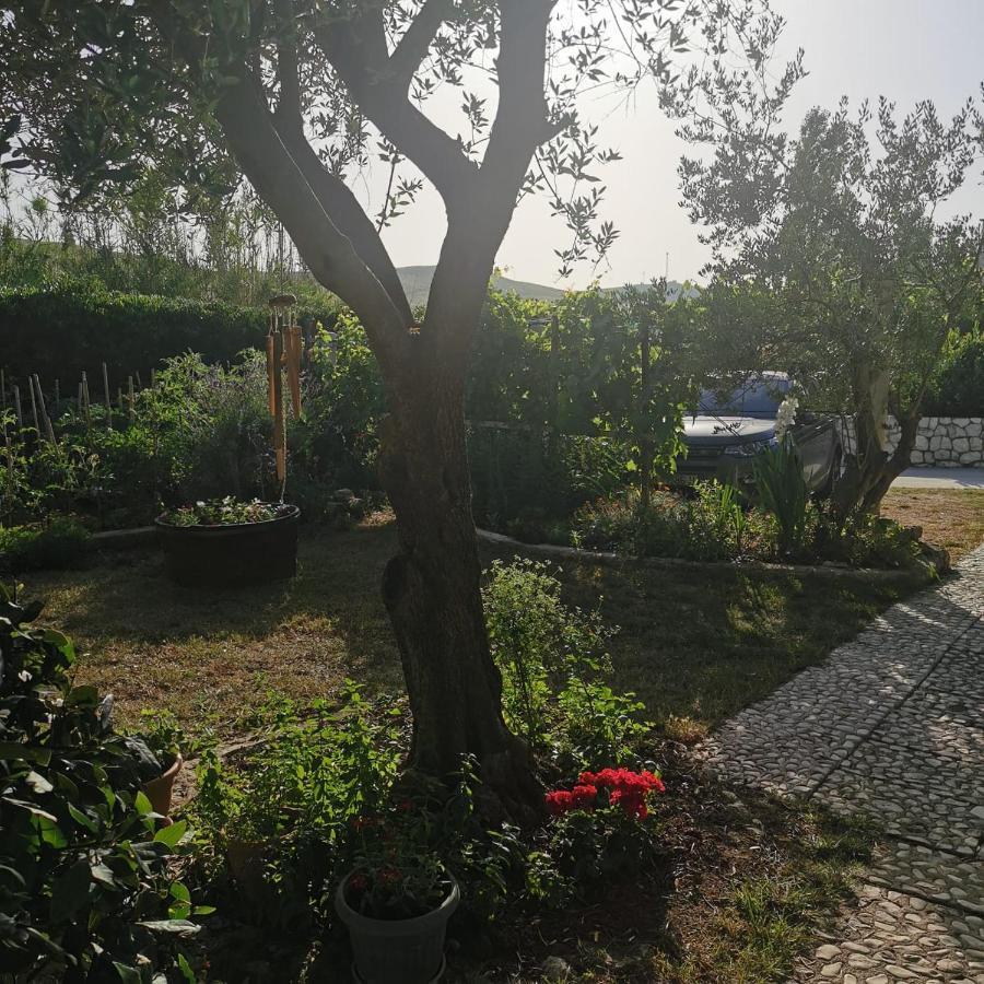 Pag Vlašići Dış mekan fotoğraf